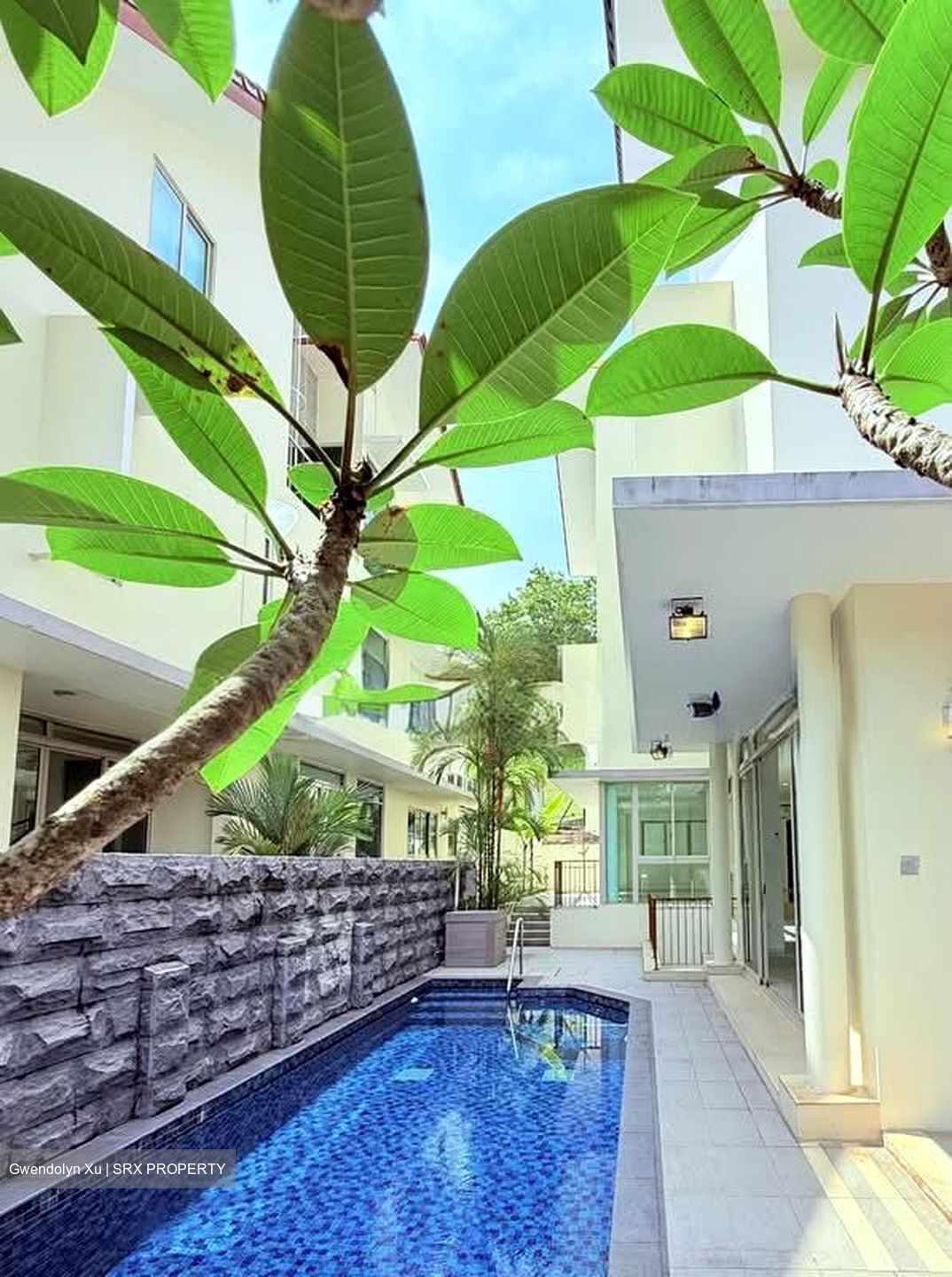 Oxley Road (D9), Terrace #551141671